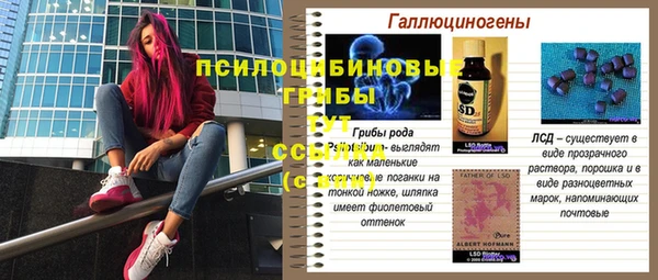 прущая мука Няндома